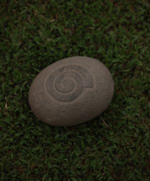 Coral cove Garden Pebble 2